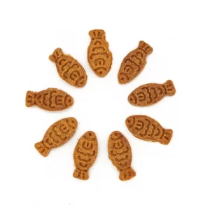 Pumpkin Chicken Cookie