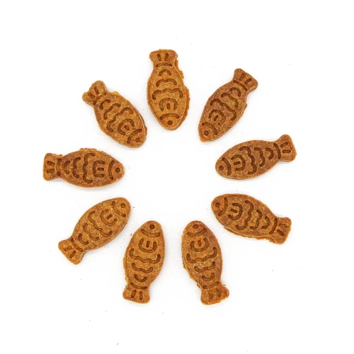 Pumpkin Chicken Cookie