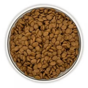 Dry Pet Food Elliptic