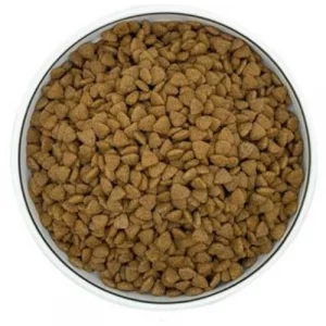 Dry Pet Food Triangle