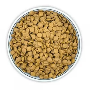 Dry Pet Food Square