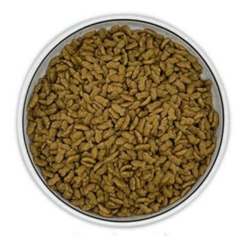 Dry Pet Food Fish