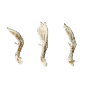 Freeze-Dried Duck Flippers