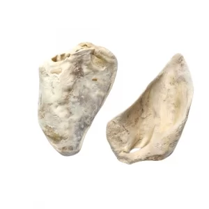 Freeze-dried Pig Ear