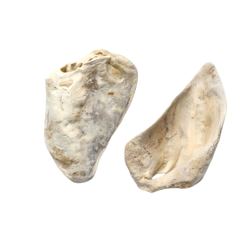 Freeze-dried Pig Ear
