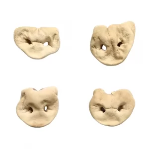 Freeze-dried Pig Nose