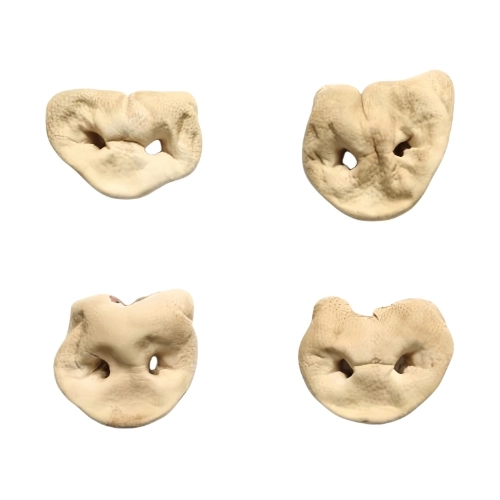 Freeze-dried Pig Nose