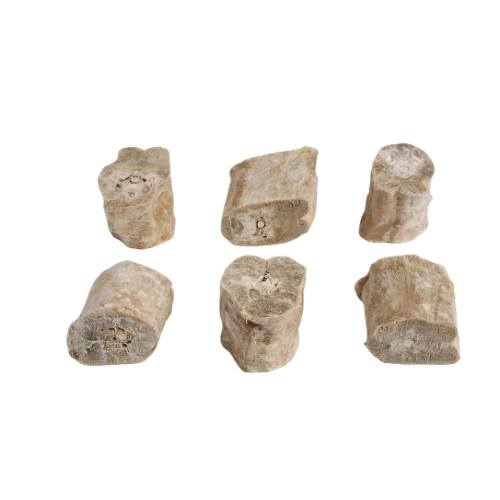 Freeze-dried Chicken Neck