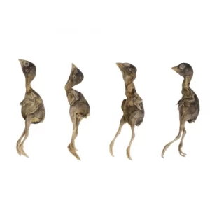 Freeze-Dried Quail