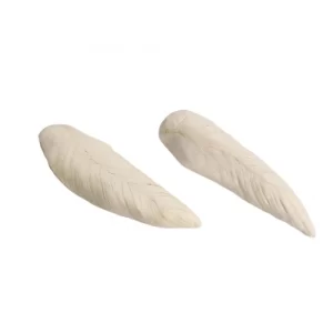 Freeze-dried Chicken Breast