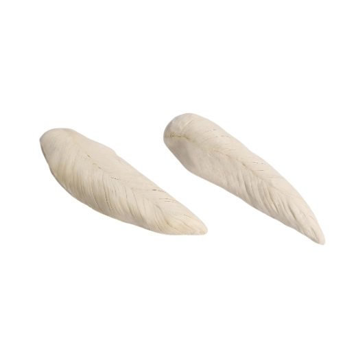 Freeze-dried Chicken Breast