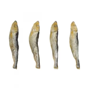 Freeze-Dried Fish