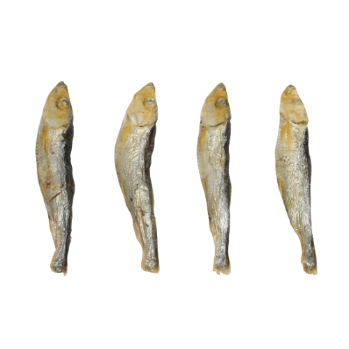 Freeze-Dried Fish