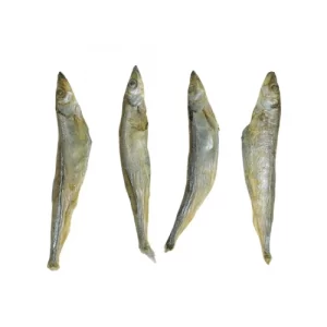Freeze-Dried Spring Fish