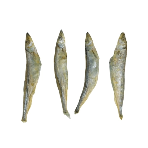 Freeze-Dried Spring Fish
